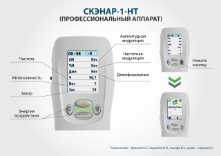 СКЭНАР-1-НТ (исполнение 01)  в Яхроме купить Медицинская техника - denasosteo.ru 